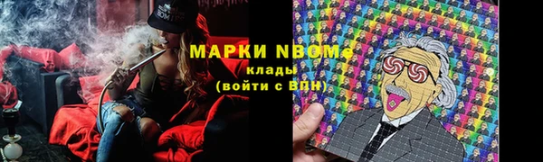 бошки Гатчина